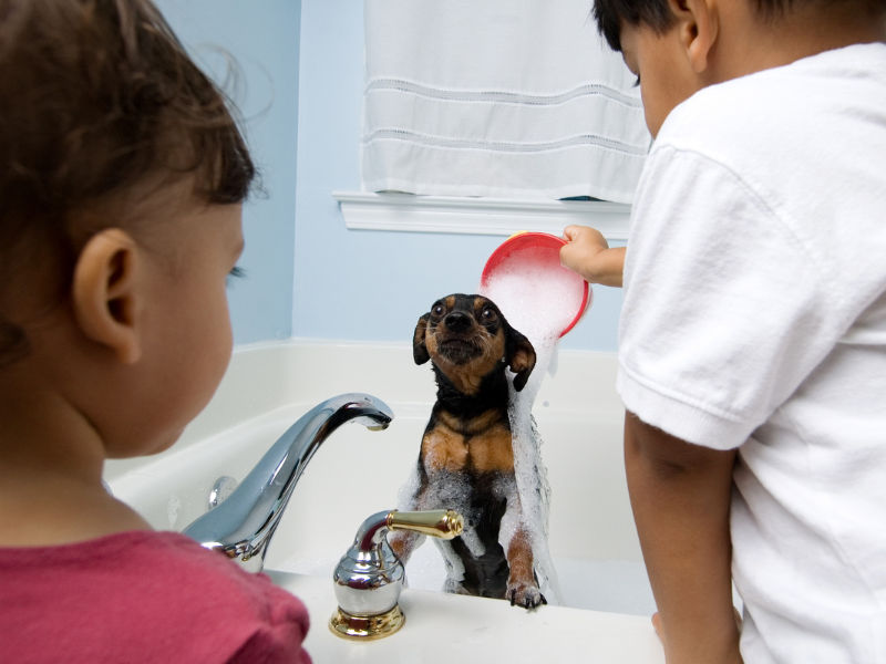 filho e filha lavando o cachorrinho em uma banheira